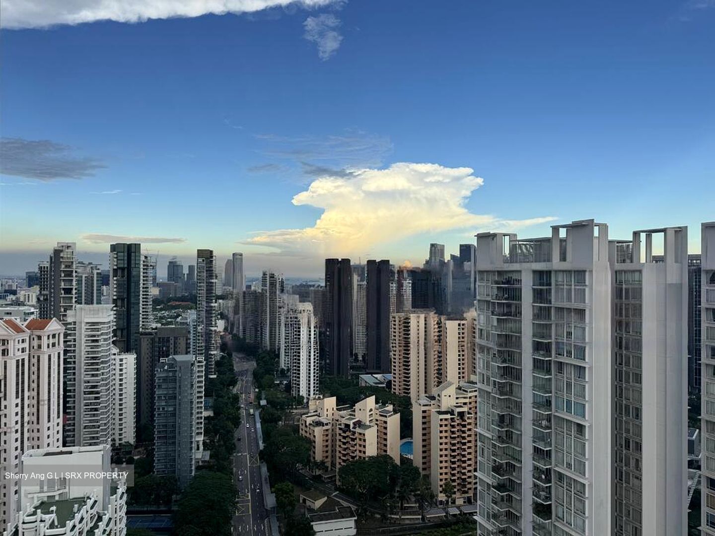 Irwell Hill Residences (D9), Apartment #597095951